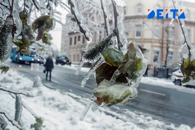 Открытки хорошего зимнего отдыха - 74 фото картинки