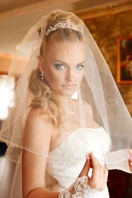 Свадебная фата и вуаль - купить в интернет-магазине Lovely Bride картинки