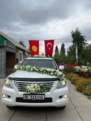 Свадебный кортеж Волгоград - машины и украшения на свадебные авто (прокат,  аренда) картинки