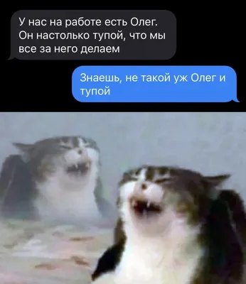 Когда у тебя есть тупой #друг... - Мемы/Комиксы/Приколы | Facebook картинки