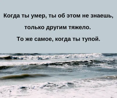 тупые советы / смешные картинки и другие приколы: комиксы, гиф анимация,  видео, лучший интеллектуальный юмор. картинки