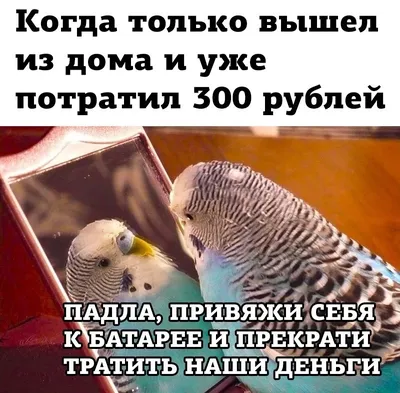 50 интересных туристических фактов | Прикол.ру - приколы, картинки, фотки и  розыгрыши! картинки