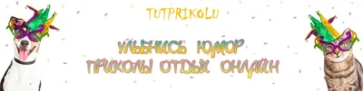 Футболка, размер M, черный — купить в интернет-магазине по низкой цене на  Яндекс Маркете картинки