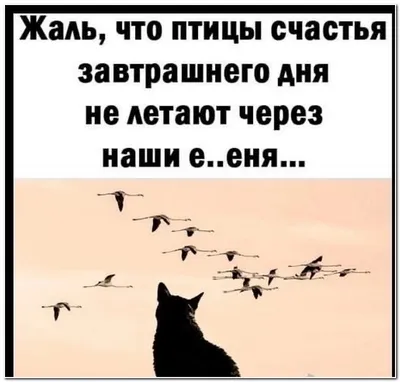 Образование / смешные картинки и другие приколы: комиксы, гиф анимация,  видео, лучший интеллектуальный юмор. картинки