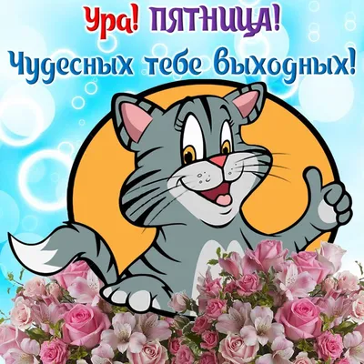 Ура! Пятница! (35 открыток) картинки