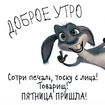 УРА! Пятница! Немного пятничного юмора! #термомиксмания #рецептыТермомикс  #thermomixmania #RezeptiThermomix #thermomix #термомикс #thermomi… | Food,  Matzo, Bread картинки