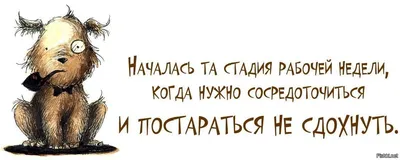 Прикольные картинки про усталость с надписью: юмор о сонном состоянии картинки