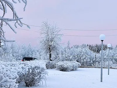 Утро зимы, чашка кофе со связанными держателями чашки, пряник и ванильные  печенья на белой деревянной предпосылке Стоковое Фото - изображение  насчитывающей концепция, бодрствующий: 134507686 картинки