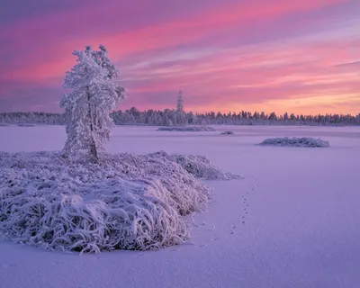 Красивые картинки с первым снегом - 69 фото картинки