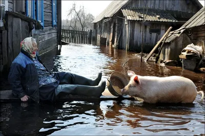 Новое поступление, забавная игра, висящий весенний глаз, мяч, очки, приколы  для шуток с друзьями, ужас, костюм на Хэллоуин, подарки, игрушки |  AliExpress картинки