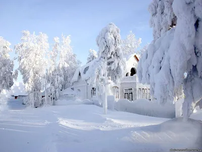 Фотоотчёт о зимних семейных поделках «Волшебница зима» (15 фото).  Воспитателям детских садов, школьным учителям и педагогам - Маам.ру картинки