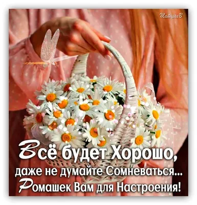 Спасибо,не благодарите!#пожелание #юмор #приколы#отдуши🤗🙏🙏🙏💕 | TikTok картинки