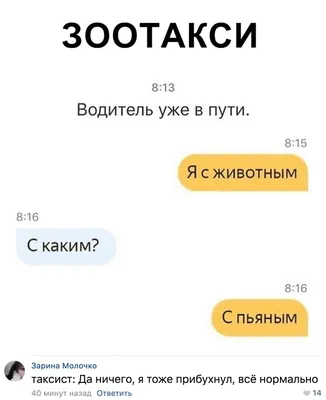 Прикольные сценки на встречу выпускников. Сценарий вечера встречи с  выпускниками картинки