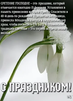 Лучшие работы Всероссийского фестиваля детских рисунков и поделок «Зима  недаром злится - весна в окно стучится!» | Центр гражданских и молодежных  инициатив - Идея картинки