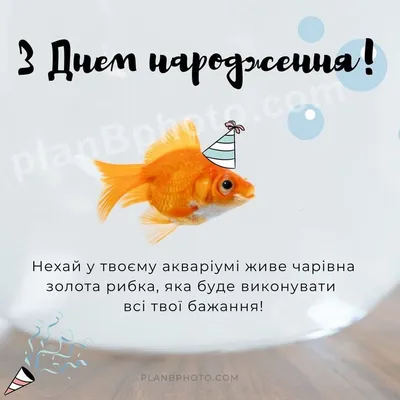 З днем народження: прикольна картинка | Happy birthday greetings, Happy  birthday, Birthday greetings картинки