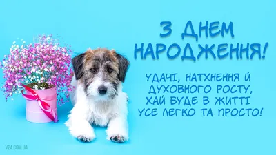 Прикольні привітання з днем народження: смішні побажання українською -  Радіо Незламних картинки