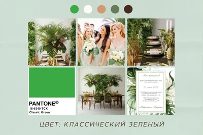 Маринс Парк Отель\", нежно-зелёная свадьба | Prestige-wedding.ru картинки