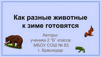 Государственное бюджетное дошкольное образовательное учреждение детский сад  № 39 Невского района Санкт-Петербурга - \"Круговорот природы\" картинки