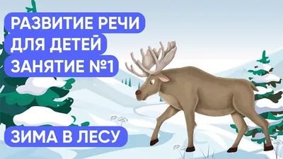 Зима в лесу. Узнаем лесных зверей. Развивающее занятие для детей. - YouTube картинки