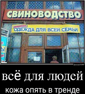 Анекдоты про мужчин: 50+ смешных свежих шуток о представителях сильного пола картинки