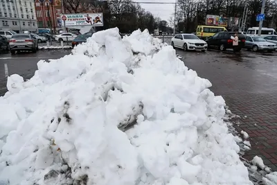 Чем опасна зима без снега для экологии, природы и человека?» — Яндекс Кью картинки