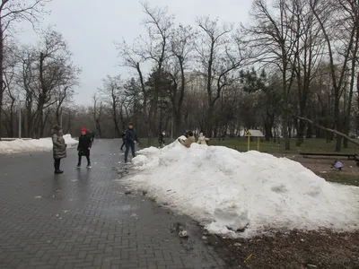 3 В друзей в парке зимы без снега Стоковое Изображение - изображение  насчитывающей пинк, девушка: 198304747 картинки