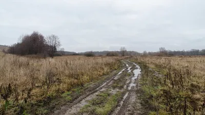 Зима без снега :: Светлана marokkanka – Социальная сеть ФотоКто картинки