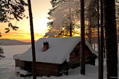 Домик в лесу зимой - 50 фото картинки