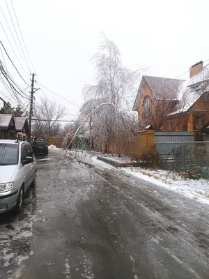 Чем опасен зимний дождь для огорода?: Общество: Облгазета картинки