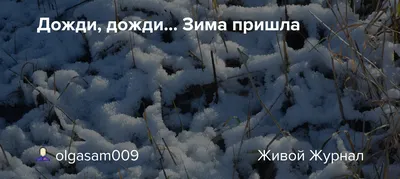 Зима не сдаётся: снег, дождь и сильный ветер ожидают кыргызстанцев |  Новости.кг картинки