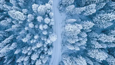 Сказочная зима». Фотоотчет (10 фото). Воспитателям детских садов, школьным  учителям и педагогам - Маам.ру картинки