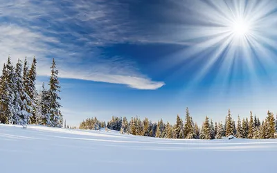 Фотография Лучи света зимние Солнце Природа Небо снеге картинки
