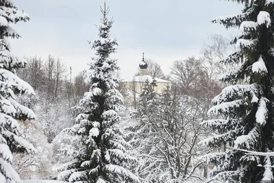 Зима январь 2019 стоковое изображение. изображение насчитывающей мстителей  - 147609671 картинки