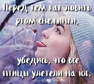 цитата #юмор #зима #открытка #смешно #птицы картинки