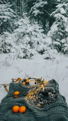 Скачать 938x1668 пикник, зима, рождество, уют, настроение, лес, снег обои,  картинки iphone 8/7/6s/6 for parallax картинки