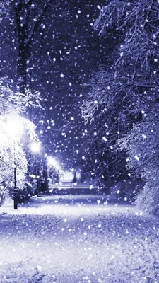 Winter Night iPhone Wallpapers Free Download картинки