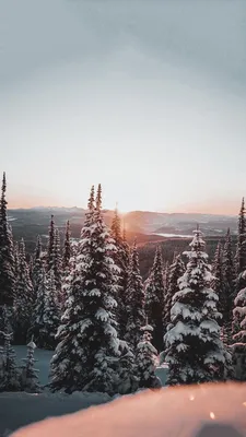 обои tumblr, обои iOS, обои iphone, обои iphone5, обои iphone XS, обои для  iphone 11, обои на айфон… | Winter wallpaper, Iphone wallpaper winter,  Pretty landscapes картинки