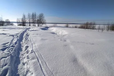 Зима в сентябре: минус 9 °C и сугробы — в этих регионах наблюдается резкое  похолодание картинки