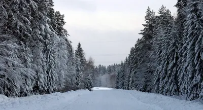 Зима началась картинки картинки