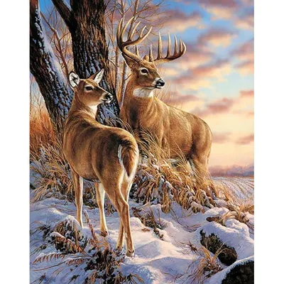 Олень | зима | deer | winter | 鹿 |冬 | rusa | musim dingin в 2023 г | Зима,  Олень, Рождество картинки