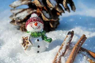 Зима пришла по расписанию!❄️❄️❄️ Первое зимнее утро оказалось волшебным!  ❄️❄️❄️ Добрый день, друзья мои! С началом зимы вас! Отличных… | Instagram картинки