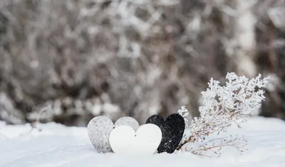 КРАСНОДАР - КАВКАЗ - КРЫМ ☀️ on Instagram: \"Ночная романтика зимы на Роза  Хутор ⛄ ⠀ Фото @karina_spb ~~~ 🎥 Больше фото и видео - в нашем  телеграм-канале. Ссылка в шапке профиля👆 ~~~⠀ #розахутор #горысочи  #краснаяполяна2022\" картинки