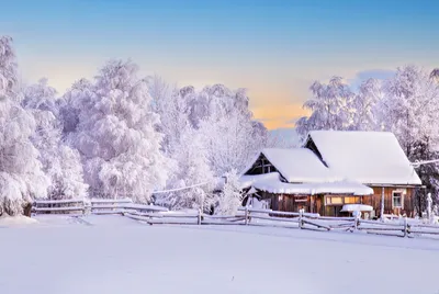 Зимняя сказка | Непоседа | Дзен картинки