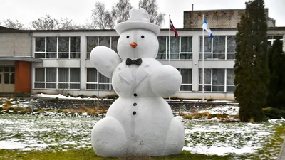 Добельские снеговики — снежные бабы, королевы и джентльмены — прощаются до  будущей зимы / Статья картинки