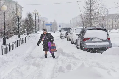 Фото Россия село Зима Природа Снег Дома Города Деревья сезон года картинки