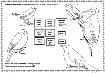 Конспект занятия «Зимующие птицы» в старшей группе детей с ТНР (9 фото).  Воспитателям детских садов, школьным учителям и педагогам - Маам.ру картинки