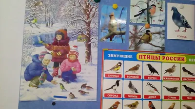 группа \"Мишутка\" картинки