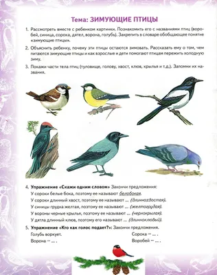 Картинки перелетные птицы весной с названиями (69 фото) » Картинки и  статусы про окружающий мир вокруг картинки
