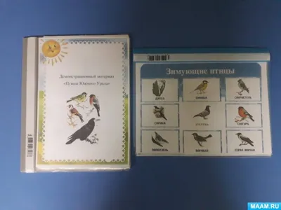 Группа \"Колокольчики\" картинки