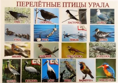 MatataLab. Авторские поля по ФЭМП. Зимние темы картинки